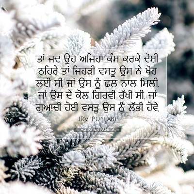 Picture 07 - ਅਹਬਾਰ 6:4 PANIRV - ਤਾਂ ਜਦ ਉਹ ਅਜਿਹਾ ਕੰਮ - Bible Verse Picture
