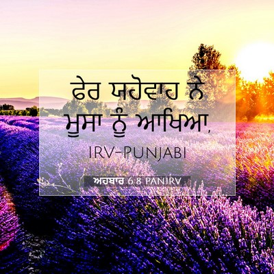 Picture 07 - ਅਹਬਾਰ 6:8 PANIRV - ਫੇਰ ਯਹੋਵਾਹ ਨੇ ਮੂਸਾ - Bible Verse Picture