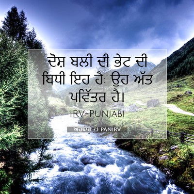 Picture 07 - ਅਹਬਾਰ 7:1 PANIRV - ਦੋਸ਼ ਬਲੀ ਦੀ ਭੇਟ ਦੀ - Bible Verse Picture