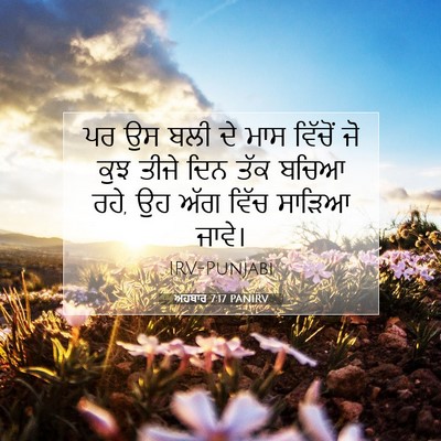 Picture 07 - ਅਹਬਾਰ 7:17 PANIRV - ਪਰ ਉਸ ਬਲੀ ਦੇ ਮਾਸ - Bible Verse Picture