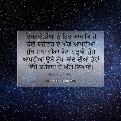 Picture 07 - ਅਹਬਾਰ 7:29 PANIRV - ਇਸਰਾਏਲੀਆਂ ਨੂੰ ਇਹ - Bible Verse Picture