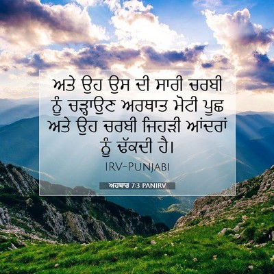 Picture 07 - ਅਹਬਾਰ 7:3 PANIRV - ਅਤੇ ਉਹ ਉਸ ਦੀ ਸਾਰੀ - Bible Verse Picture