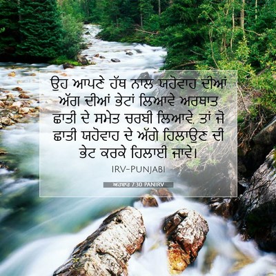 Picture 07 - ਅਹਬਾਰ 7:30 PANIRV - ਉਹ ਆਪਣੇ ਹੱਥ ਨਾਲ - Bible Verse Picture