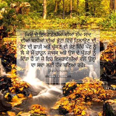 Picture 07 - ਅਹਬਾਰ 7:34 PANIRV - ਕਿਉਂ ਜੋ ਇਸਰਾਏਲੀਆਂ - Bible Verse Picture