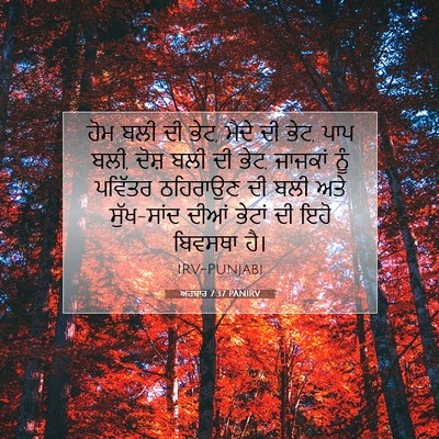 Picture 07 - ਅਹਬਾਰ 7:37 PANIRV - ਹੋਮ ਬਲੀ ਦੀ ਭੇਟ, - Bible Verse Picture
