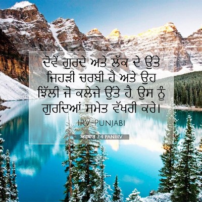 Picture 07 - ਅਹਬਾਰ 7:4 PANIRV - ਦੋਵੇਂ ਗੁਰਦੇ ਅਤੇ - Bible Verse Picture