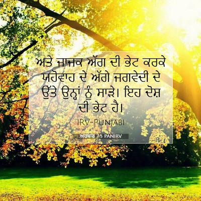 Picture 07 - ਅਹਬਾਰ 7:5 PANIRV - ਅਤੇ ਜਾਜਕ ਅੱਗ ਦੀ ਭੇਟ - Bible Verse Picture