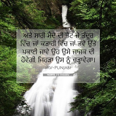 Picture 07 - ਅਹਬਾਰ 7:9 PANIRV - ਅਤੇ ਸਾਰੀ ਮੈਦੇ ਦੀ - Bible Verse Picture