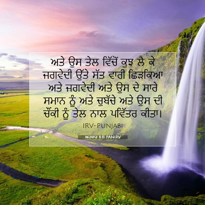 Picture 07 - ਅਹਬਾਰ 8:11 PANIRV - ਅਤੇ ਉਸ ਤੇਲ ਵਿੱਚੋਂ - Bible Verse Picture