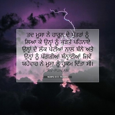 Picture 07 - ਅਹਬਾਰ 8:13 PANIRV - ਤਦ ਮੂਸਾ ਨੇ ਹਾਰੂਨ ਦੇ - Bible Verse Picture