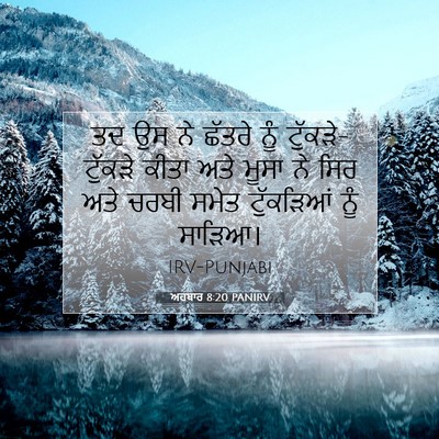 Picture 07 - ਅਹਬਾਰ 8:20 PANIRV - ਤਦ ਉਸ ਨੇ ਛੱਤਰੇ ਨੂੰ - Bible Verse Picture