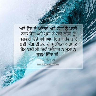 Picture 07 - ਅਹਬਾਰ 8:21 PANIRV - ਅਤੇ ਉਸ ਨੇ ਆਂਦਰਾਂ - Bible Verse Picture