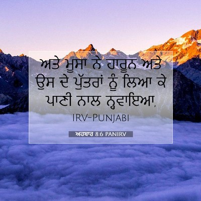 Picture 07 - ਅਹਬਾਰ 8:6 PANIRV - ਅਤੇ ਮੂਸਾ ਨੇ ਹਾਰੂਨ - Bible Verse Picture