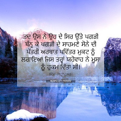 Picture 07 - ਅਹਬਾਰ 8:9 PANIRV - ਤਦ ਉਸ ਨੇ ਉਹ ਦੇ ਸਿਰ - Bible Verse Picture