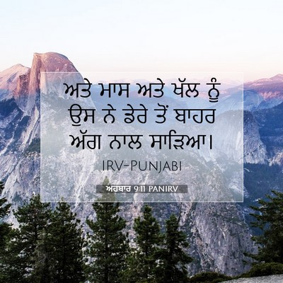 Picture 07 - ਅਹਬਾਰ 9:11 PANIRV - ਅਤੇ ਮਾਸ ਅਤੇ ਖੱਲ ਨੂੰ - Bible Verse Picture