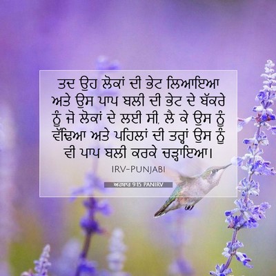 Picture 07 - ਅਹਬਾਰ 9:15 PANIRV - ਤਦ ਉਹ ਲੋਕਾਂ ਦੀ ਭੇਟ - Bible Verse Picture