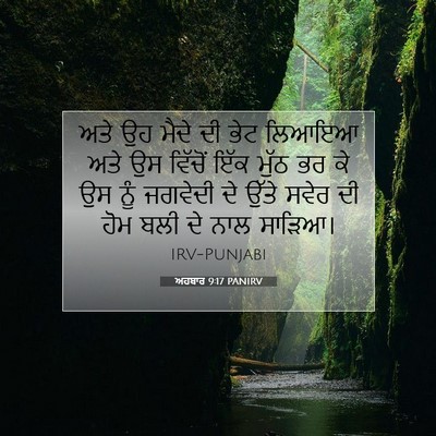 Picture 07 - ਅਹਬਾਰ 9:17 PANIRV - ਅਤੇ ਉਹ ਮੈਦੇ ਦੀ ਭੇਟ - Bible Verse Picture