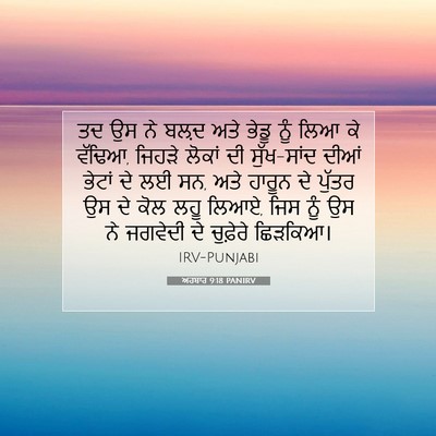Picture 07 - ਅਹਬਾਰ 9:18 PANIRV - ਤਦ ਉਸ ਨੇ ਬਲ਼ਦ ਅਤੇ - Bible Verse Picture