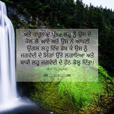 Picture 07 - ਅਹਬਾਰ 9:9 PANIRV - ਅਤੇ ਹਾਰੂਨ ਦੇ ਪੁੱਤਰ - Bible Verse Picture