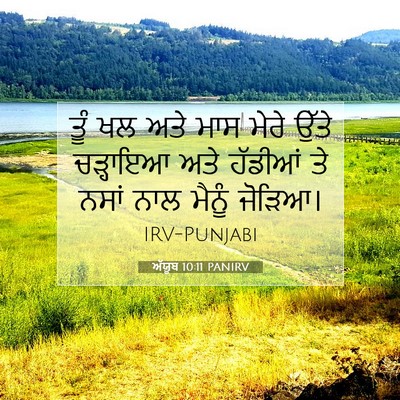 Picture 07 - ਅੱਯੂਬ 10:11 PANIRV - ਤੂੰ ਖਲ ਅਤੇ ਮਾਸ ਮੇਰੇ - Bible Verse Picture