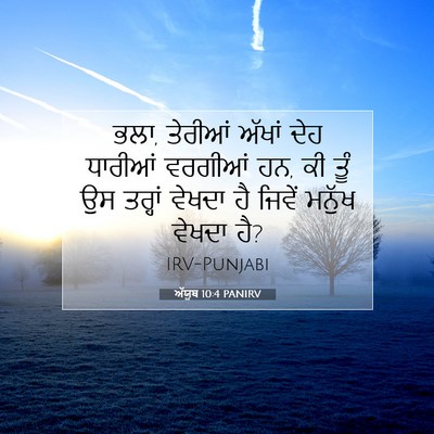 Picture 07 - ਅੱਯੂਬ 10:4 PANIRV - ਭਲਾ, ਤੇਰੀਆਂ ਅੱਖਾਂ - Bible Verse Picture