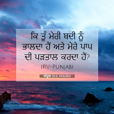 Picture 07 - ਅੱਯੂਬ 10:6 PANIRV - ਕਿ ਤੂੰ ਮੇਰੀ ਬਦੀ ਨੂੰ - Bible Verse Picture