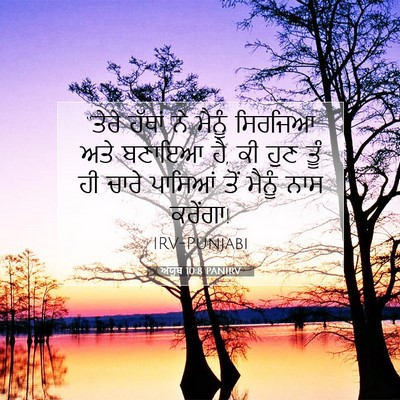 Picture 07 - ਅੱਯੂਬ 10:8 PANIRV - “ਤੇਰੇ ਹੱਥਾਂ ਨੇ - Bible Verse Picture