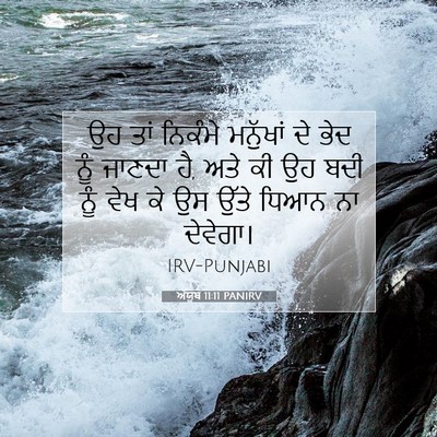 Picture 07 - ਅੱਯੂਬ 11:11 PANIRV - ਉਹ ਤਾਂ ਨਿਕੰਮੇ - Bible Verse Picture