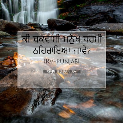 Picture 07 - ਅੱਯੂਬ 11:2 PANIRV - ਕੀ ਬਕਵਾਸੀ ਮਨੁੱਖ - Bible Verse Picture