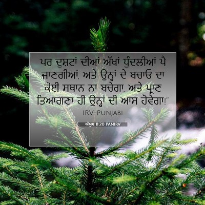 Picture 07 - ਅੱਯੂਬ 11:20 PANIRV - ਪਰ ਦੁਸ਼ਟਾਂ ਦੀਆਂ - Bible Verse Picture