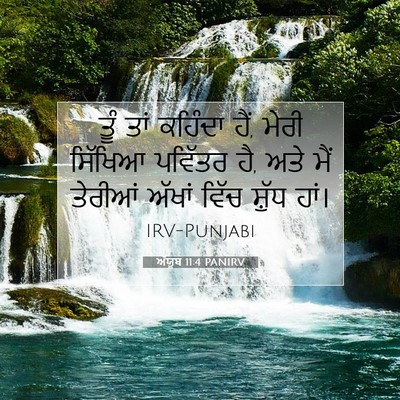 Picture 07 - ਅੱਯੂਬ 11:4 PANIRV - ਤੂੰ ਤਾਂ ਕਹਿੰਦਾ ਹੈਂ, - Bible Verse Picture