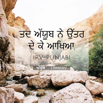 Picture 07 - ਅੱਯੂਬ 12:1 PANIRV - ਤਦ ਅੱਯੂਬ ਨੇ ਉੱਤਰ ਦੇ - Bible Verse Picture