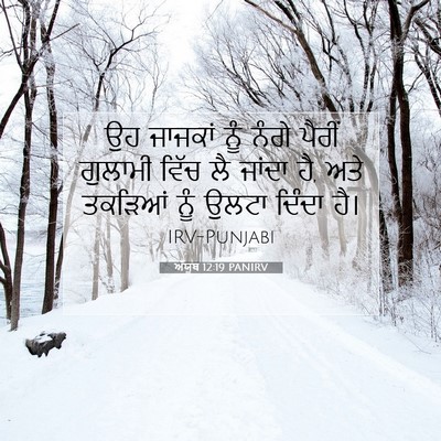 Picture 07 - ਅੱਯੂਬ 12:19 PANIRV - ਉਹ ਜਾਜਕਾਂ ਨੂੰ ਨੰਗੇ - Bible Verse Picture