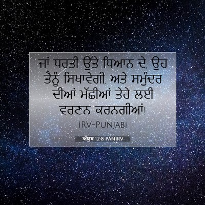 Picture 07 - ਅੱਯੂਬ 12:8 PANIRV - ਜਾਂ ਧਰਤੀ ਉੱਤੇ ਧਿਆਨ - Bible Verse Picture