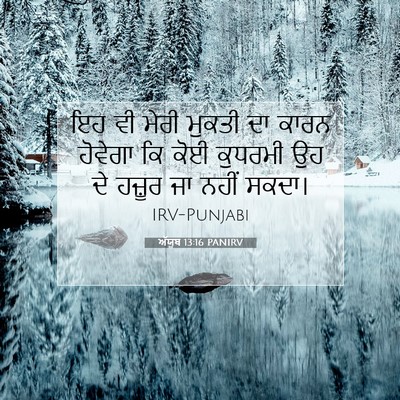 Picture 07 - ਅੱਯੂਬ 13:16 PANIRV - ਇਹ ਵੀ ਮੇਰੀ ਮੁਕਤੀ ਦਾ - Bible Verse Picture