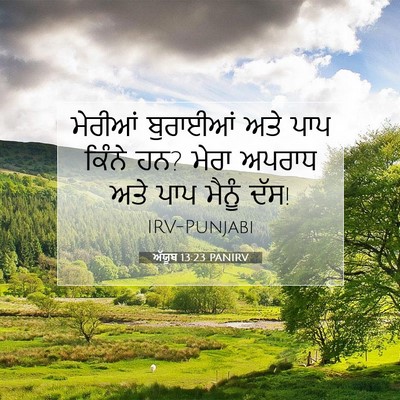 Picture 07 - ਅੱਯੂਬ 13:23 PANIRV - ਮੇਰੀਆਂ ਬੁਰਾਈਆਂ - Bible Verse Picture