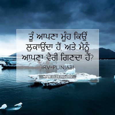 Picture 07 - ਅੱਯੂਬ 13:24 PANIRV - ਤੂੰ ਆਪਣਾ ਮੂੰਹ ਕਿਉਂ - Bible Verse Picture