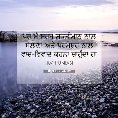 Picture 07 - ਅੱਯੂਬ 13:3 PANIRV - ਪਰ ਮੈਂ ਸਰਬ - Bible Verse Picture