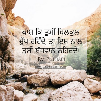 Picture 07 - ਅੱਯੂਬ 13:5 PANIRV - ਕਾਸ਼ ਕਿ ਤੁਸੀਂ - Bible Verse Picture