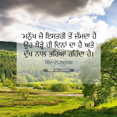Picture 07 - ਅੱਯੂਬ 14:1 PANIRV - “ਮਨੁੱਖ ਜੋ ਇਸਤਰੀ - Bible Verse Picture