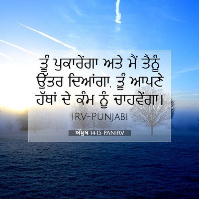 Picture 07 - ਅੱਯੂਬ 14:15 PANIRV - ਤੂੰ ਪੁਕਾਰੇਂਗਾ ਅਤੇ - Bible Verse Picture