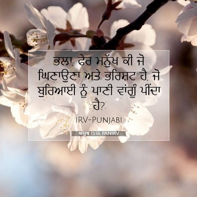 Picture 07 - ਅੱਯੂਬ 15:16 PANIRV - ਭਲਾ, ਫੇਰ ਮਨੁੱਖ ਕੀ - Bible Verse Picture