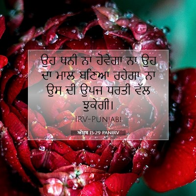 Picture 07 - ਅੱਯੂਬ 15:29 PANIRV - ਉਹ ਧਨੀ ਨਾ ਹੋਵੇਗਾ ਨਾ - Bible Verse Picture