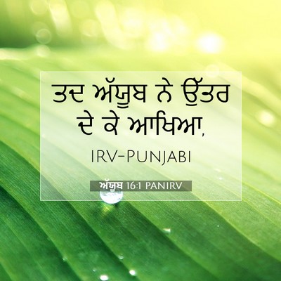 Picture 07 - ਅੱਯੂਬ 16:1 PANIRV - ਤਦ ਅੱਯੂਬ ਨੇ ਉੱਤਰ ਦੇ - Bible Verse Picture
