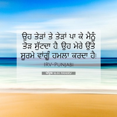 Picture 07 - ਅੱਯੂਬ 16:14 PANIRV - ਉਹ ਤੇੜਾਂ ਤੇ ਤੇੜਾਂ - Bible Verse Picture
