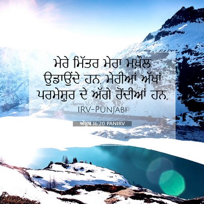 Picture 07 - ਅੱਯੂਬ 16:20 PANIRV - ਮੇਰੇ ਮਿੱਤਰ ਮੇਰਾ - Bible Verse Picture