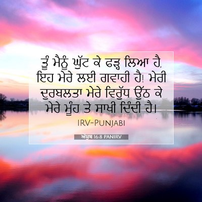 Picture 07 - ਅੱਯੂਬ 16:8 PANIRV - ਤੂੰ ਮੈਨੂੰ ਘੁੱਟ ਕੇ - Bible Verse Picture