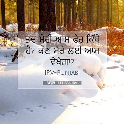 Picture 07 - ਅੱਯੂਬ 17:15 PANIRV - ਤਦ ਮੇਰੀ ਆਸ ਫੇਰ - Bible Verse Picture