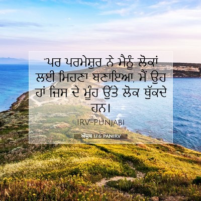 Picture 07 - ਅੱਯੂਬ 17:6 PANIRV - “ਪਰ ਪਰਮੇਸ਼ੁਰ ਨੇ - Bible Verse Picture