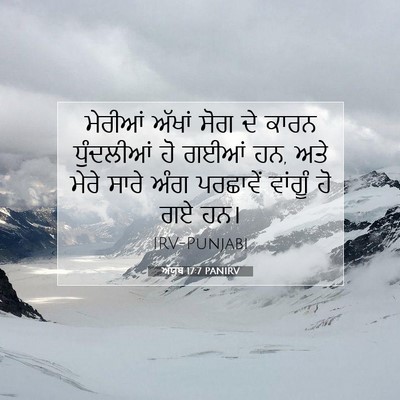 Picture 07 - ਅੱਯੂਬ 17:7 PANIRV - ਮੇਰੀਆਂ ਅੱਖਾਂ ਸੋਗ - Bible Verse Picture